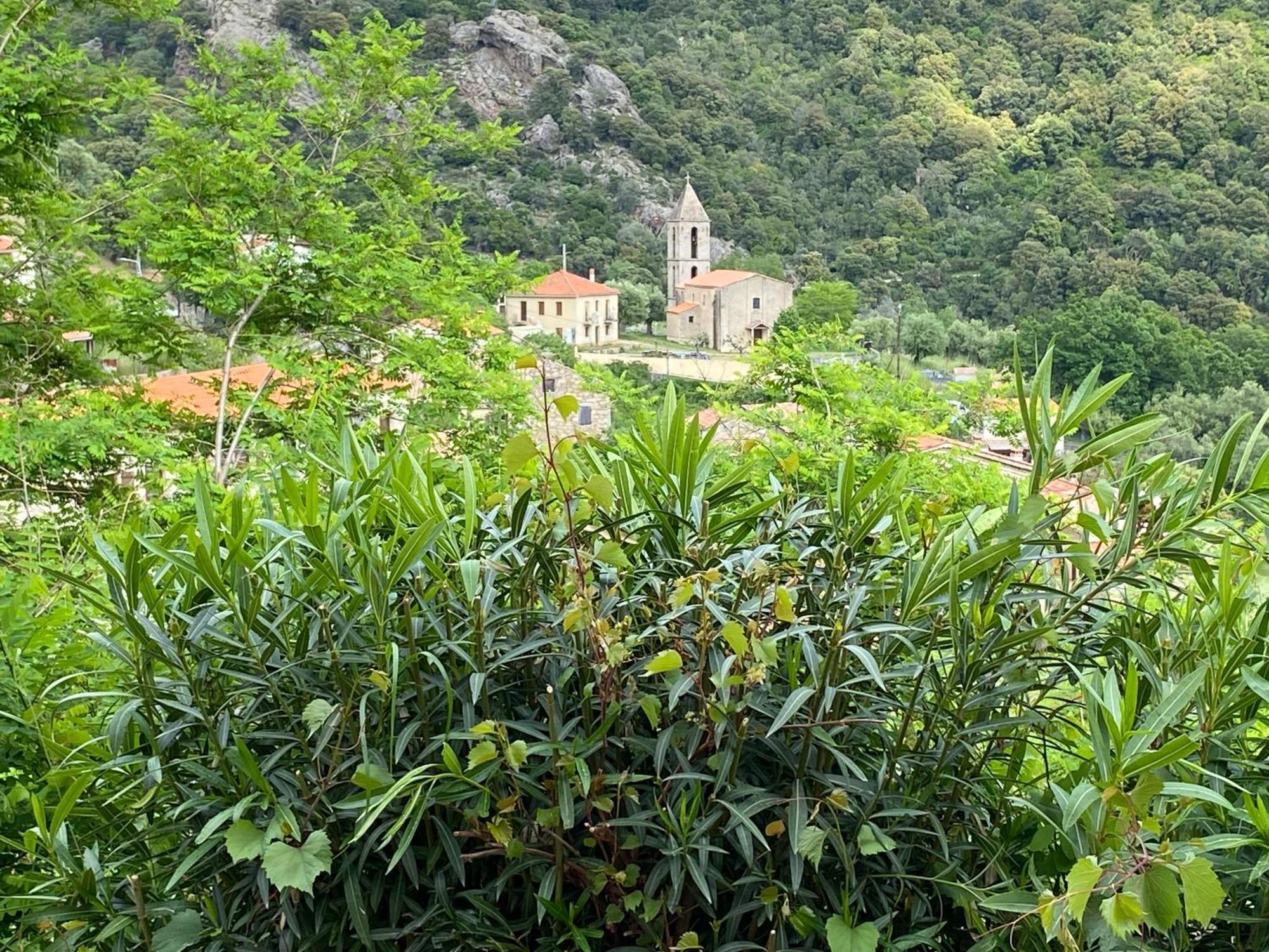Casa Versini Balogna Exterior foto